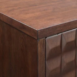 Blaine 2-Door Cabinet -Hot Sale Furniture Shop blaine 2 door cabinet 3