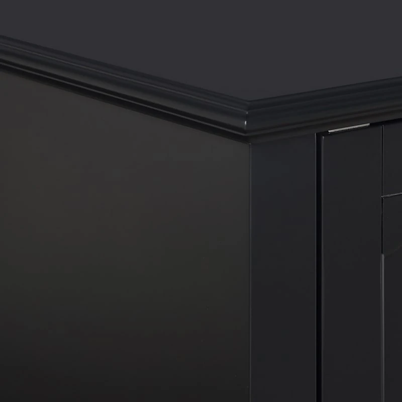 Providence Asbury Black 2-Door Cabinet 5 Providence Asbury Black 2-Door Cabinet - Image 5